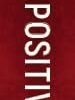 The Power of Positive Leadership: How and Why Positive Leaders Transform Teams and Organizations and Change the World (Jon